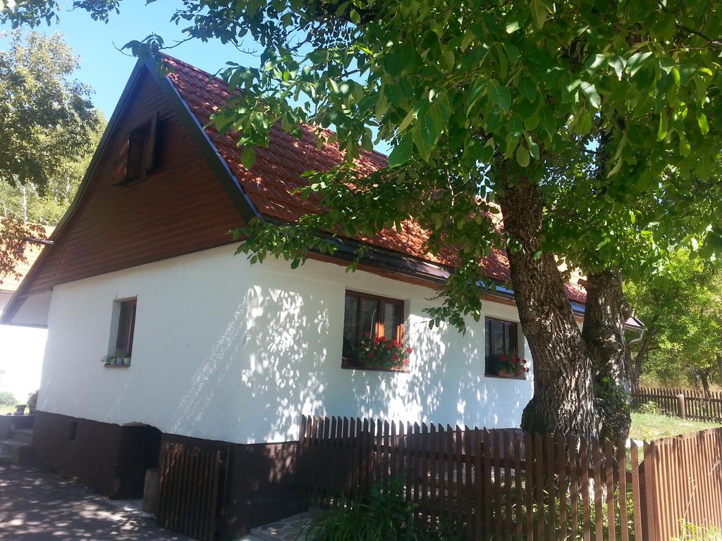 Holiday Home Rizvan City Brusane Exterior photo